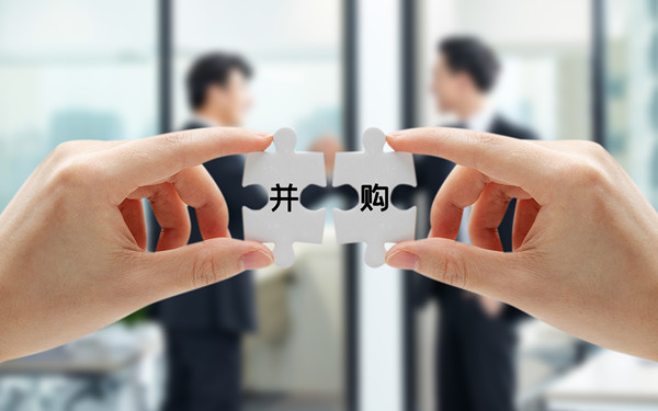 戰(zhàn)略投資與并購：拓展企業(yè)規(guī)模，增強(qiáng)市場(chǎng)競爭力