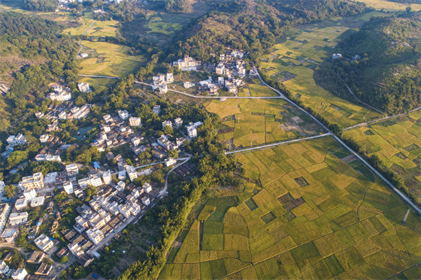 肇慶預(yù)算管理咨詢公司如何為企業(yè)構(gòu)建精細(xì)化的預(yù)算體系？
