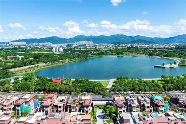 漳州戰(zhàn)略咨詢公司如何為企業(yè)定制長遠發(fā)展藍圖？