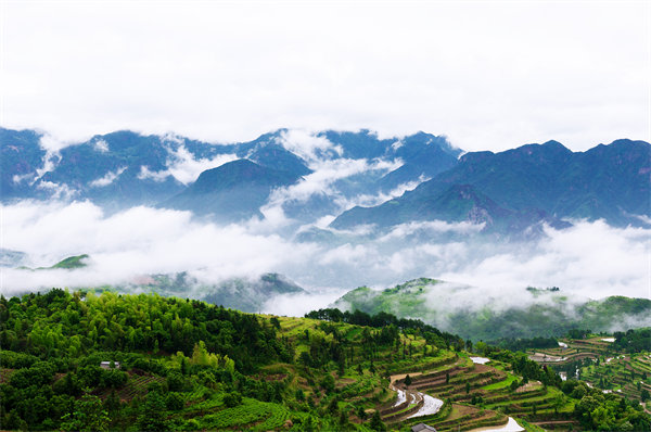 溫州供應(yīng)鏈咨詢公司如何優(yōu)化企業(yè)供應(yīng)鏈流程？