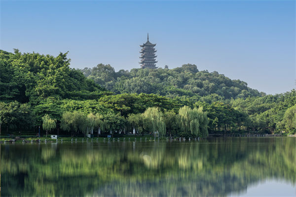 如何評(píng)估佛山集團(tuán)管控咨詢公司的服務(wù)質(zhì)量和效果？