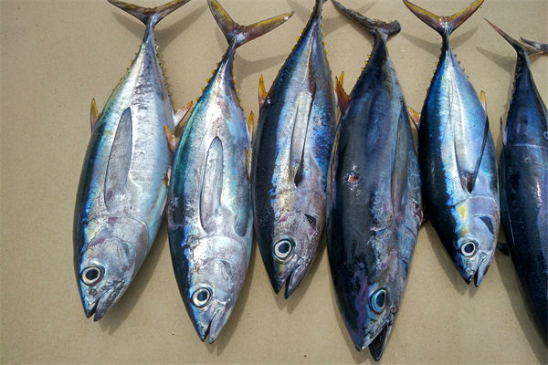 商務(wù)部：將幫助外貿(mào)企業(yè)擴寬內(nèi)銷渠道，政策解讀！