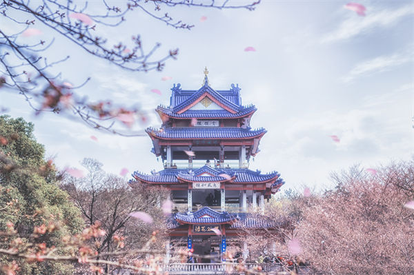 供應(yīng)鏈成本居高不下，無錫供應(yīng)鏈咨詢公司如何精準(zhǔn)砍出利潤(rùn)空間？